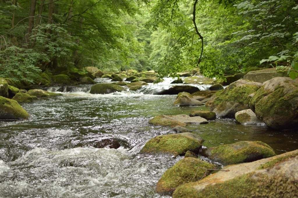 bode, river, water