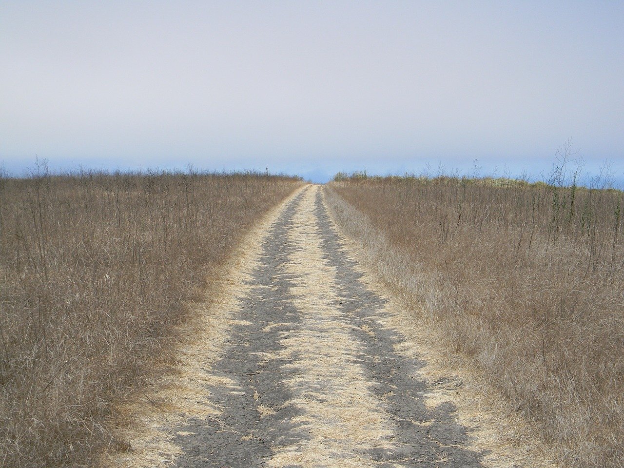 long road, open road, sky-969019.jpg